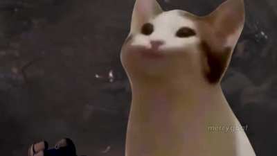 I´M POP CAT