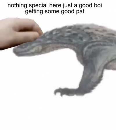 I wish I could just pet him in game...