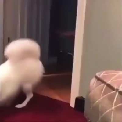 Oh
