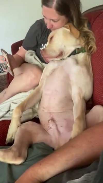 Компр<wbr>омат