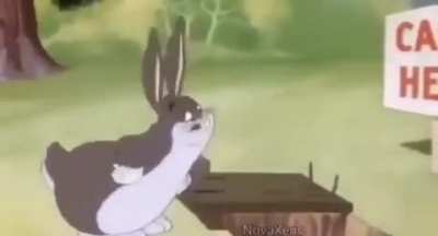 The moment at which medium chungus became big chungus the heckin chonker