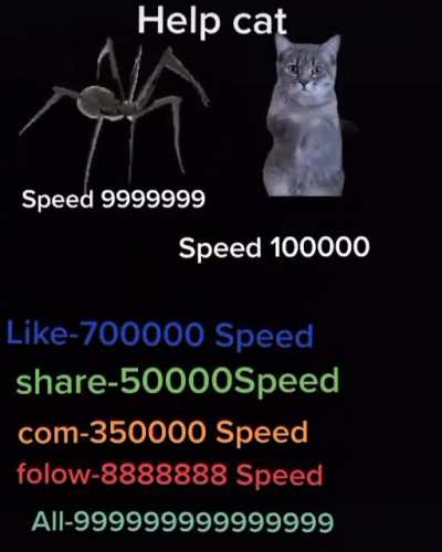 Rule