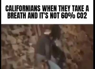 60% CO2