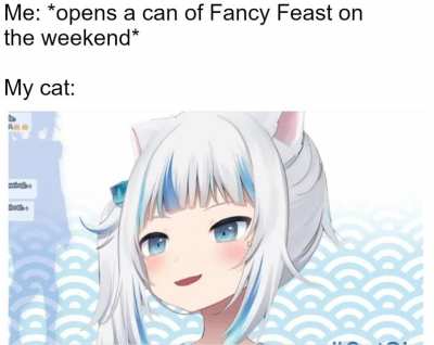 Happy kitty <3