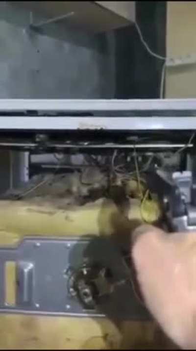 RU POV: Russian soldiers shoot at rats infesting their kitchen area.