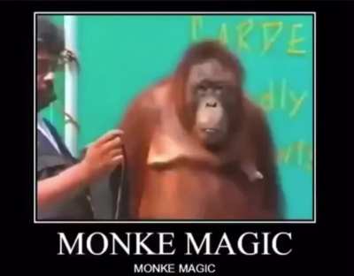 Dynamonk