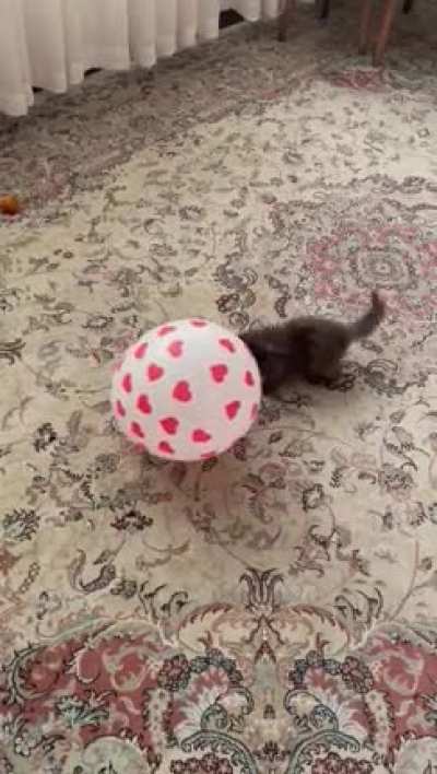 Della saw a balloon for the first time! :)