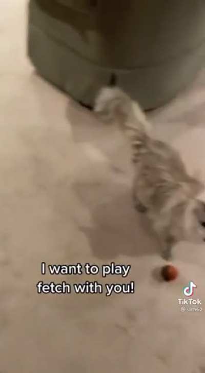 Basement Dweller Wants to Play Catch