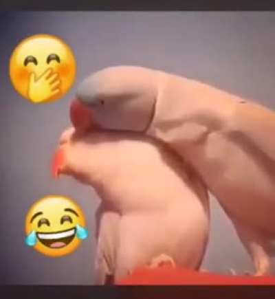 👀