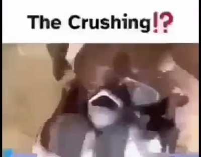 Peepee