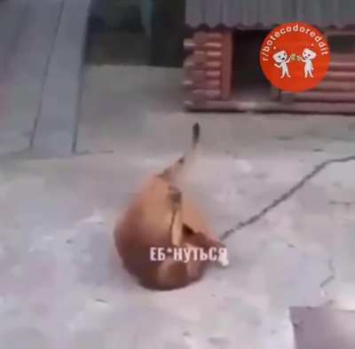 kkkkkkkkkkkkkkkkkkk