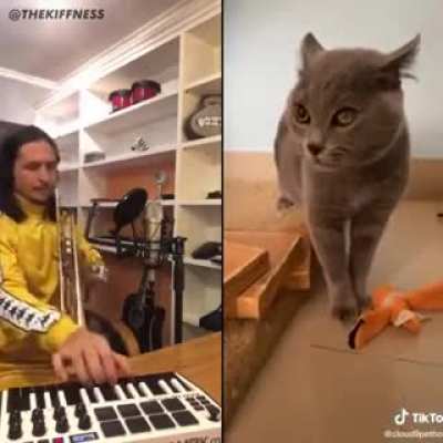 This cat can sing!