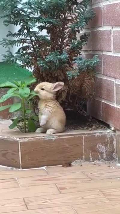 Having a snack.