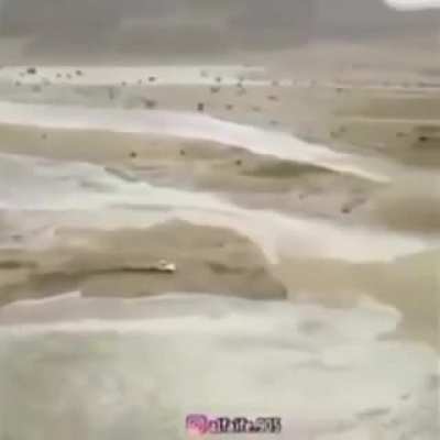 Crazy mofo trying to outrun the flood