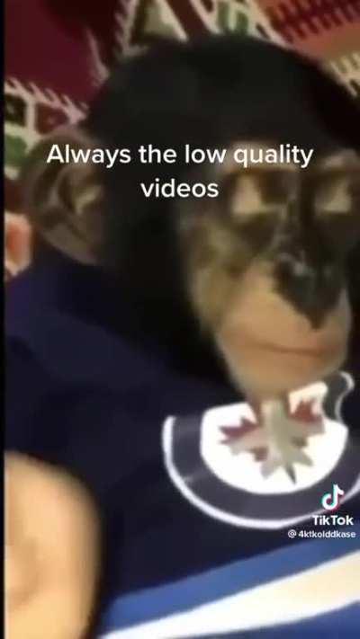 Putting a monkey in rotation is wild