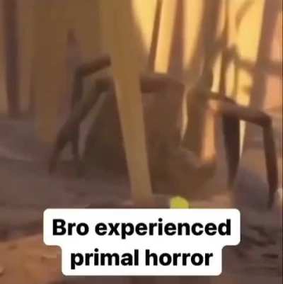Pov: you are human