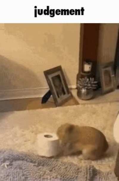 Qrogkhbnuymqhwrp