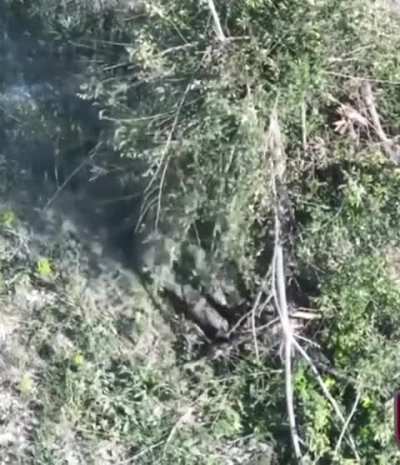 Additional footage from Ukraine's 81st Airmobile Brigade of their drone attacks against Russian forces