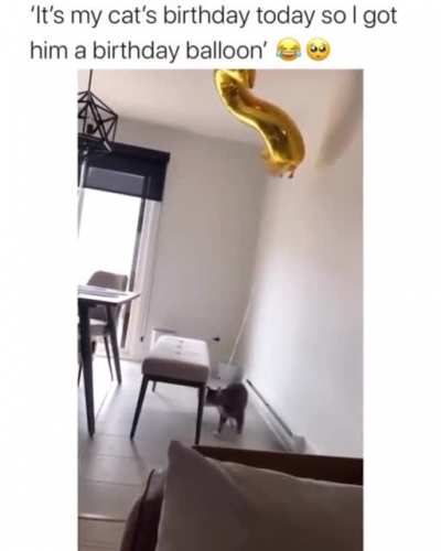 Too cute!