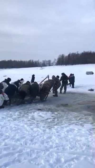 Fishermen pushing a sled full of fish across the ice. [Siberia]