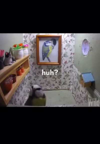 huh