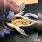 Thanks, I hate DIY Oatmeal Pouch