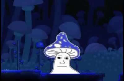 Truffle