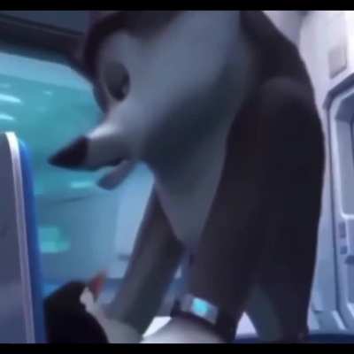 Madagascar_irl