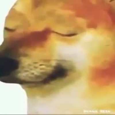 NOOOOOOO