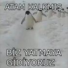 İki yahudi bir araya gelir ülke kurar, iki TÜRK bir araya gelir ülke kurar !!