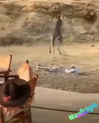 Briga diferente ao som de treta de bar