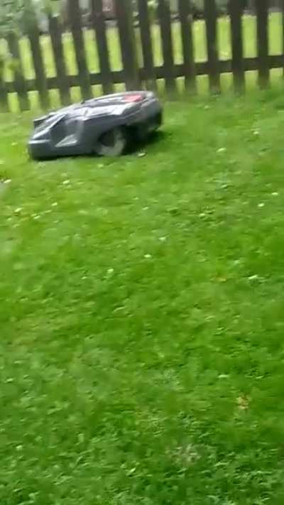 Maus und Roboter Co-existieren friedlich