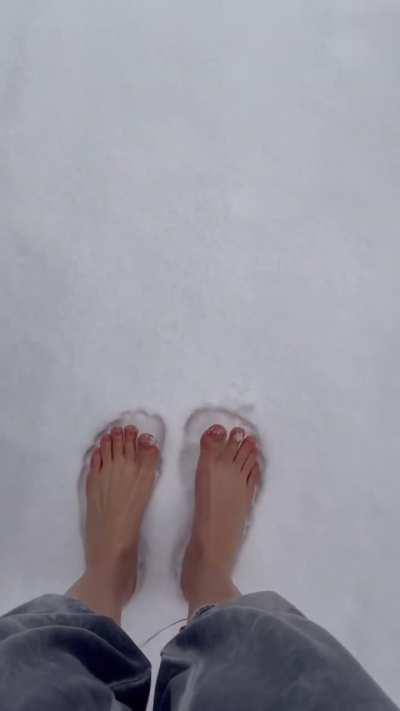 Misty in the snow