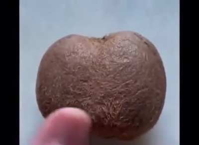 OI DONKEH NOT ME FECKIN NUTS