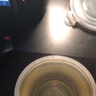 Clear orbeez in water