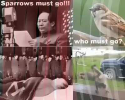 (L)mao