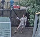 Coronavirus can't stop us now - Melbourne Zoo livestream
