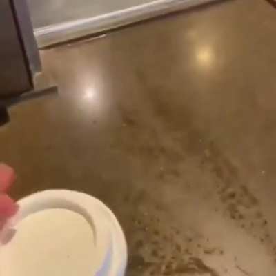 Whipped Cream yeet