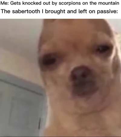 RIP Cheetagra