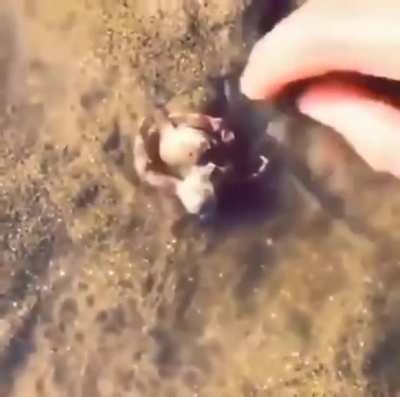 Не обижай брати<wbr>шку!