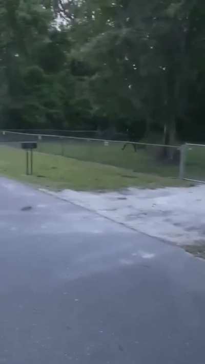 You gotta get that football somehow