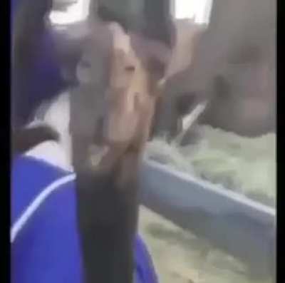 OMG