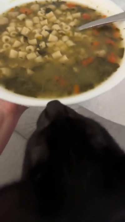 No kitty n-
