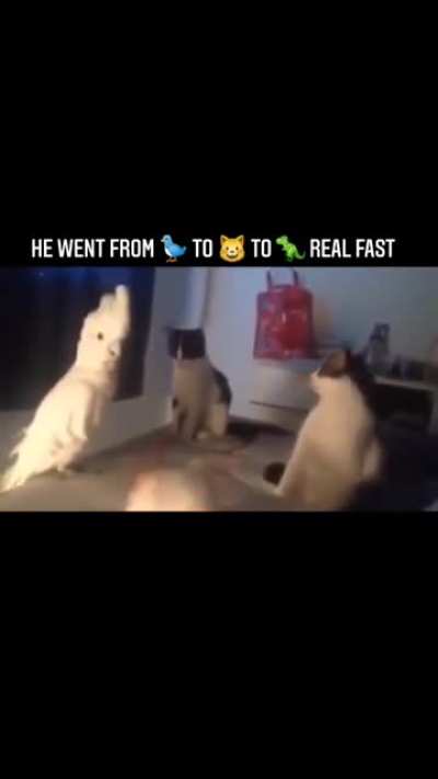 That scared the hell out of me
