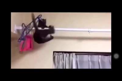 Trying to defy gravity