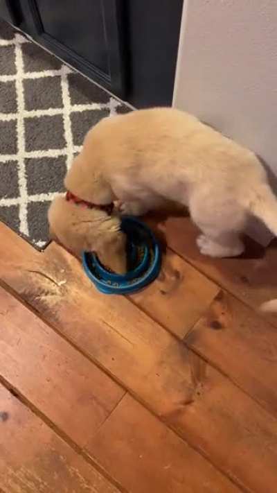Is he broken?