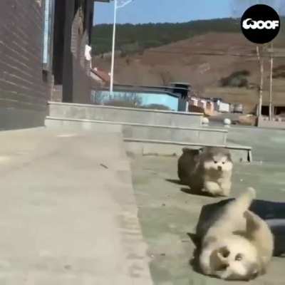 Synchronized falling