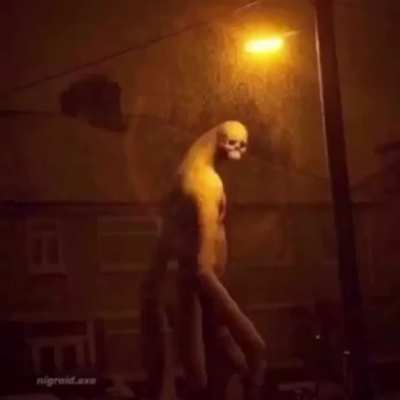 is this a void meme