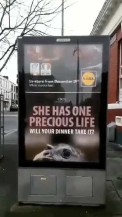 Save turkey's life, go vegan...