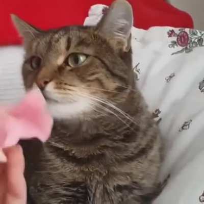 That face